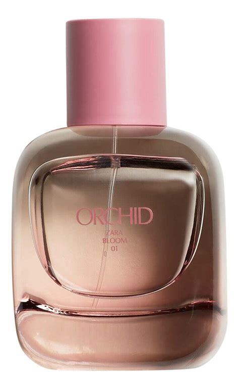 parfum zara orchid.